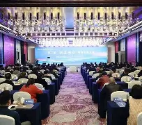 乌迪内斯的比赛动图